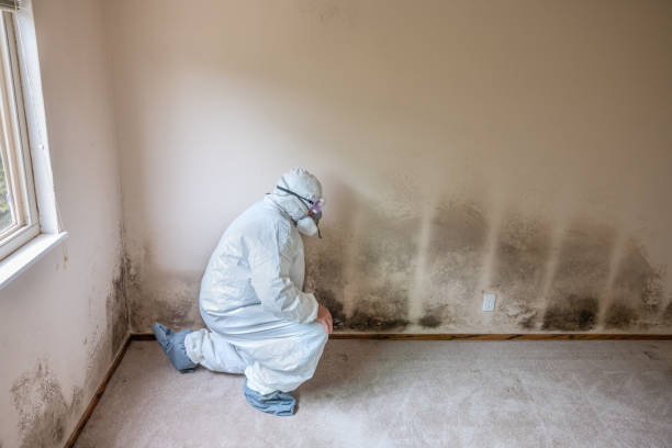 Environmental Consulting for Mold Prevention in Lakes Of The Four Seasons, IN